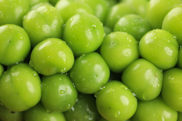 Close Up of Fresh Green Shine Muscat Grape Full Background