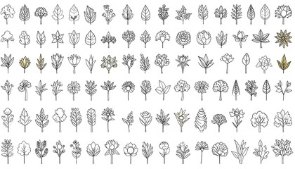 Collection of various plant and leaf illustrations