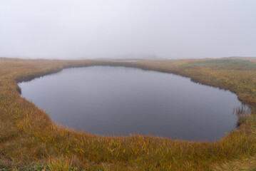 苗場山山頂湿原05