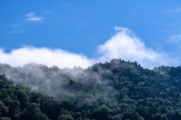 Cloud waterfall and blue sky at early morning, Hokkaido, Japan