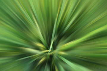 Obraz premium Green backgrounds. Green and blur digital motion effect background. Blurry art abstract backdrop in soft green gradation color.