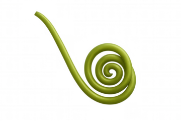 Green plant tendril growing in spiral shape representing growth, nature, organic life, and botanical concepts