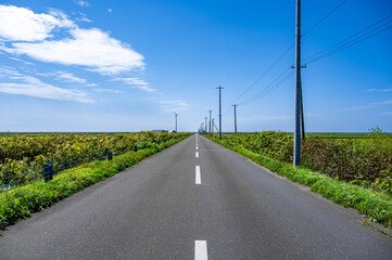Endless Straight Paved Road in Hokkaido, Japan – Perfect for a Road Trip under Blue Sky