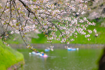 東京　皇居周辺