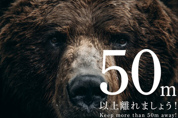 熊　50m以上離れてください