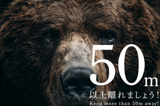 熊　50m以上離れてください