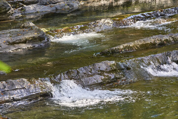 Crystal clear stream flowing over rocky cascades in lush forest setting.