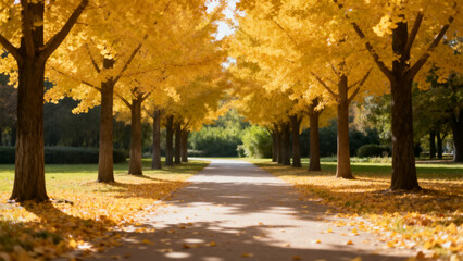 Autumn Path with Golden Trees