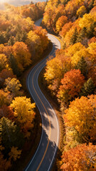 Winding road through autumn forest