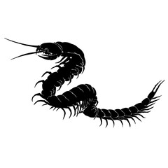 Black silhouette drawing of a poisonous insect. Vector illustration on a white background.