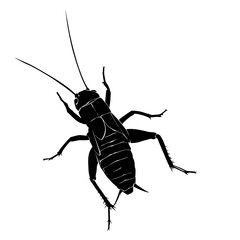 Black silhouette of an insect, vector illustration on a white background