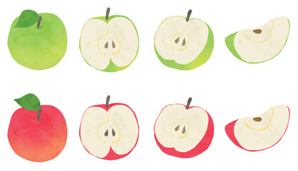 Red and Green Apples with Cross Sections Illustration, Colourful Apples and Sliced Apples Illustration