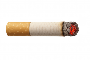 Burning cigarette showing glowing ember and ash on transparent background, symbolizing addiction and health risk
