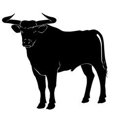 Black silhouette drawing of a fierce bull, vector illustration, white background