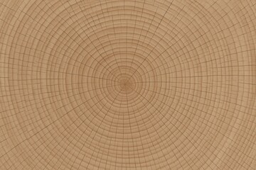 Fototapeta premium Seamless cross section wood grain rings natural tree trunk texture high resolution
