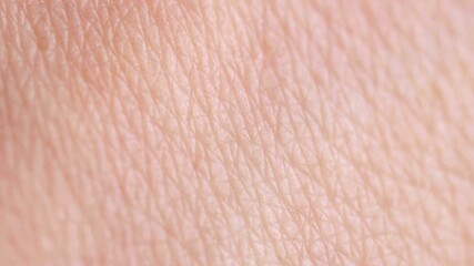 Extreme macro shot of human skin texture. A slow pan reveals pores and lines, perfect for dermatology, skincare, beauty, and health concepts. - Powered by Adobe