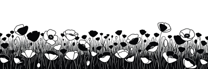 poppy field background vector illustration