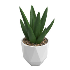 Stylized aloe vera plant in a modern white geometric pot against a transparent display