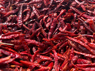 red hot chili or chilli peppers