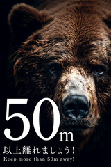 【縦写真】熊　50m以上離れてください