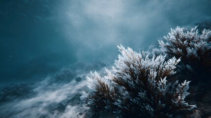 Underwater scene of bleached marine flora illuminated by sunbeams in the deep ocean