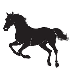 Black silhouette horse vector illustration on white background
