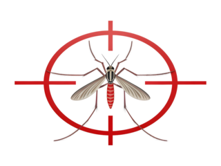 Mosquito in crosshair isolated on transparent background, pest control concept