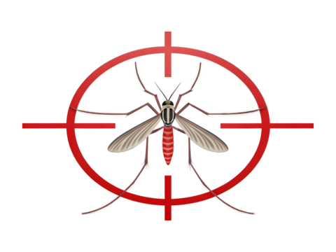 Mosquito in crosshair isolated on transparent background, pest control concept