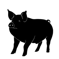 Black silhouette drawing of a pig, vector illustration, white background