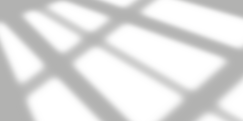 Shadow, light, darkness, cast shadow, drop shadow, overlay effect, mystery, abstract, background, isolated, silhouette, contrast, dramatic, sunlight