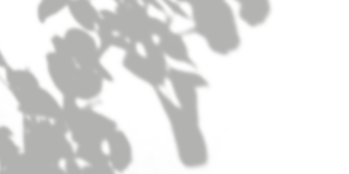 Tree branch shadow, forest, nature pattern, outdoor, peaceful, calm, abstract background, texture overlay, sunlight