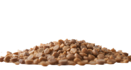 Close-up of tasty candy morsels against a bright background