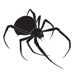 Black silhouette drawing of a spider, vector illustration, white background
