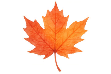 Autumn maple leaf watercolor illustration displaying vibrant orange fall foliage on a transparent background