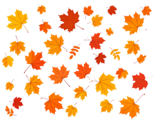  Autumn Leaves in the Wind Set Fall Leaf Vector Clipart on transparent Background