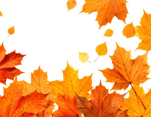 Fototapeta premium Fall Leaves Cluster png Background. Orange Leaves Autumn Texture Vector.