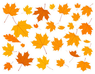 Obraz premium Flying Autumn Leaves Vector | Windy Fall Leaf Collection Illustration.