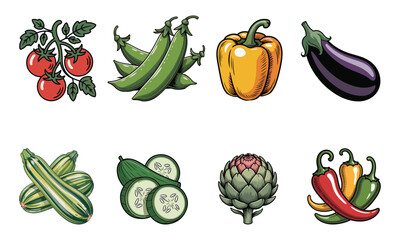 Colorful Vegetable Set Vector Illustration