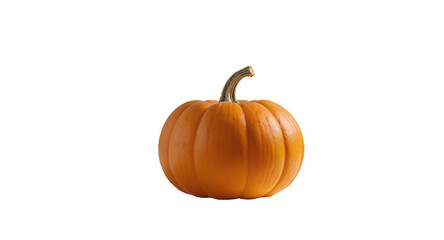 Obraz premium Pumpkin, Halloween, Thanksgiving, Autumn, Harvest, Vegetable, Studio Shot