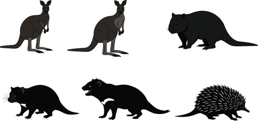 Illustration of Australian wildlife animals including kangaroo, wombat, rat, Tasmanian devil, and echidna vector design