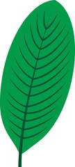 Tropical leaf and flower vector