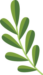Tropical leaf and flower vector
