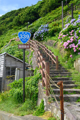 満開の紫陽花と階段国道