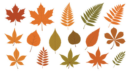 A collection of colorful autumn leaves from various trees and plants.