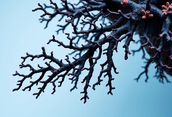 Intricate black coral branching, dark against a light background,  benthic,  ocean floor