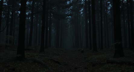 Fototapeta premium Dark and Mystical Forest Path, Atmospheric Landscape, Foggy Woods Scene