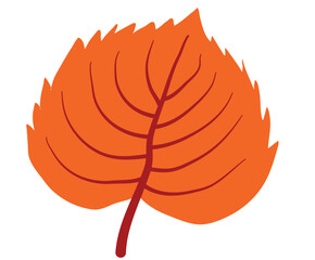 A bright orange leaf with serrated edges, reminiscent of autumns warm hues, presented isolated on a pure white background, ideal for seasonal themes