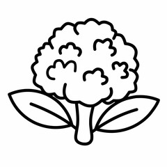 Broccolini icon, flat organic food vector