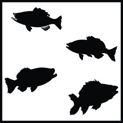 Bass Fish silhouette, Double Bass Fish set box icon, Bass Fish illustration, silhouette, set icon, silhouette, Bass Fish icon