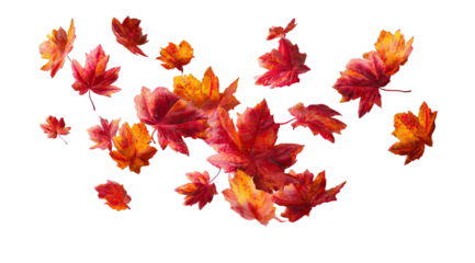 Autumn leaves, vibrant colors, fall foliage, scattered, floating in air